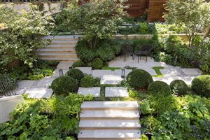 Anca Panait MSGLD - Chelsea Garden. Photograph © Richard Bloom