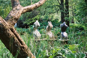 This shows my three bronze torsos, Eve III, IV and V in a woodland garden. They are life sized female torsos and are all about 70cm tall. Each is one of a small edition of only 9. Casting can take 12-14 weeks.