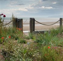 Jo Thompson - Sea Gem, Camber Sands