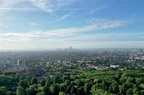Trees for cities in a changing climate