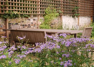 relaxed seating surrounded by purple asters