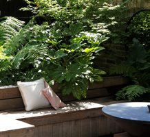 Mandy Buckland MSGD - Triple Texture Courtyard