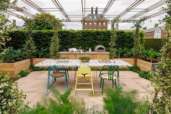 Gold Medal Winning Sanctuary Garden Chelsea Flower Show 2023 - The London Square Community Garden