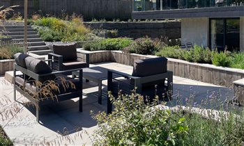 California House | David Hastie Garden Design