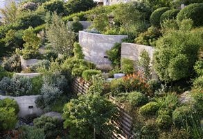 Winner: Andy Sturgeon FSGD, Project: Isle of Wight Garden, Image: Rachel Warne