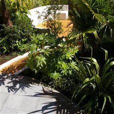 'Sophisticated Ibiza' style garden on a slope. 'Cool' by day and with colour changing lights at night.