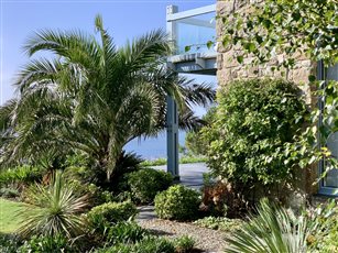 Subtropical planting washes up to the house in this Cornish coastal garden