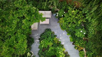 North London garden
