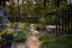 Stefano Marinaz Landscape Architecture, Principal Designer Stefano Marinaz MSGLD - Woodland Glade Sanctuary in Autumn.  Photograph © Gary Morrisroe
