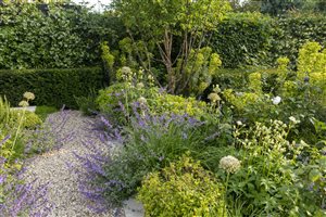 Charlotte Rowe Garden Design, Principal Designer Charlotte Rowe MSGD - Barnes Garden - Photo James Kerr