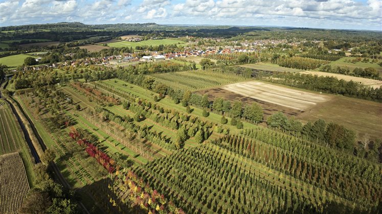 SGLD Awards Sponsor Event: Tour and Talks with Hillier Trees - 25 June 2026
