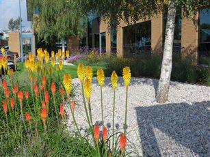 Odyssey Business Park, Ruislip, West London - dynamic landscaping by The Garden Company added value to a prestigious business location.
https://www.thegardenco.co.uk/commercial/odyssey-business-park/