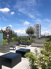 Battersea roof terrace.