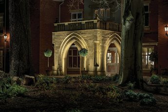 Exterior lighting integrating architecture, mature trees and foreground planting into a balanced night-time scene.