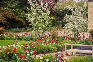 Bestall & Co. Landscape Design Ltd, principal designer Lee Bestall MSGLD - The Pines | Yorkshire