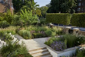 Gavin McWilliam MSGD & Andrew Wilson FSGD - West London Family Garden - image Alister Thorpe