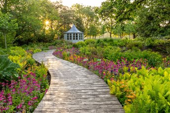 Large Country Garden New Forest