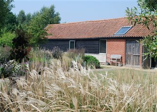 rural barns with miscanthus