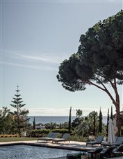 Garden in Marbella, Spain