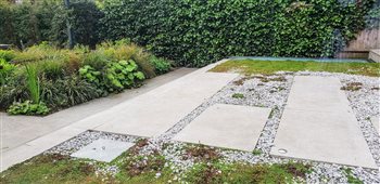 Chiswick garden
- Corsican mint and baby's tears in gravel