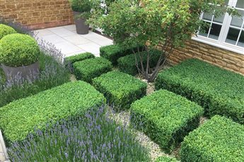 Modern courtyard garden in Nottinghamshire