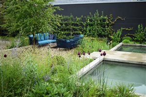 Charlotte Rowe Garden Design, Principal Designer Charlotte Rowe MSGD - Oxfordshire Garden