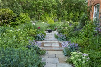 Garden for a large new house in Surrey