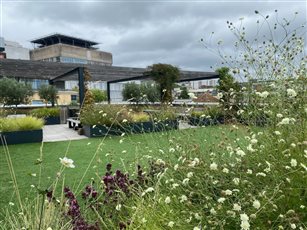 No. 1 Bristol sky garden