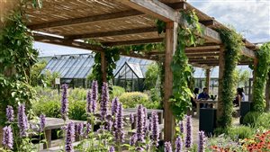 Tommaso del Buono MSGD - Davines Village, Parma, Italy