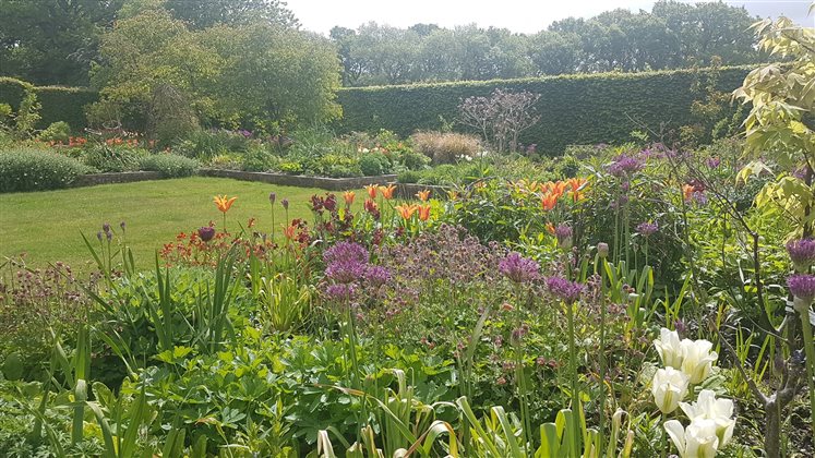 Making the Garden Live Longer with Anna Ribo - 11 February 2026