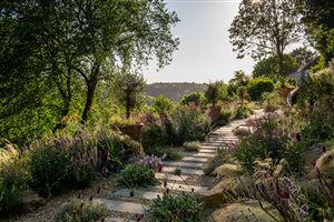 Fi Boyle MSGLD - Old Quarry Garden. Photograph © Heather Edwards