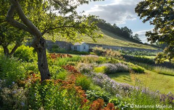 Painterly sweeps of grasses and perennials in this country garden in the South Downs National Park - winner of the SGD Medium Residential Garden Award 2018 