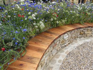 In this Richmond garden a cedar and dry stone curved bench holds back borders overflowing with Pictorial Meadow mixes.