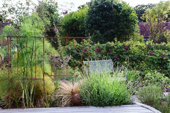 Wildlife garden in Devon designed by Anna Sissons