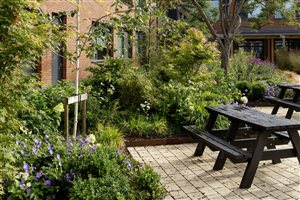 Winner Nicholas Atherton MSGLD, Merstham Park School. Photograph © Marianne Majerus