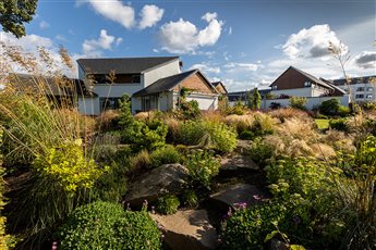 A coastal garden with extensive planting throughout. Mixed borders and trees enhance privacy and frame views within the garden and wider landscape. An architectural pergola provides an additional opportunity for planting with integrated swing.