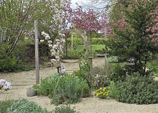 gravel garden with blossom and oak hoop
