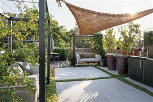 Maïtanne Hunt MSGLD - Chelsea Roof Garden. Photograph © Julie Skelton
