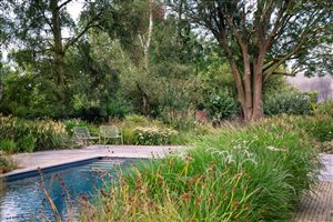Miria Harris MSGLD - Modern Crafted Garden. Photograph © Rachel Warne