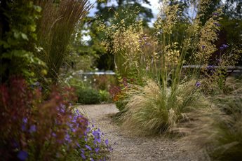 Hestia Garden at The Plough Shiplake in Oxfordshire; view of the exuberant planting scheme within the gravel garden. Photograph Alister Thorpe.