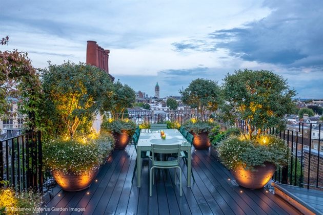 Roof Gardens with Maitanne Hunt - 06 July 2026