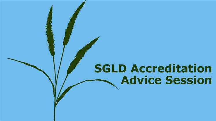 Accreditation Advice Session with Merilen Mentaal MSGLD