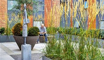 Urban Courtyard Garden - Leamington Spa
