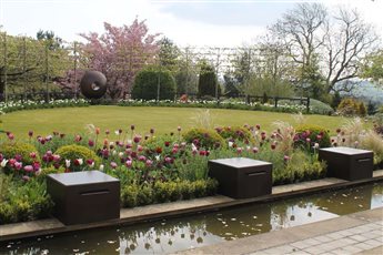 Spring garden in Yorkshire