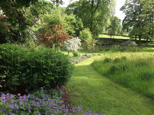 Derbyshire native meadow and naturalistic sweeps of rowans and hawthorns in May for blossom, fruit and wildlife habitat