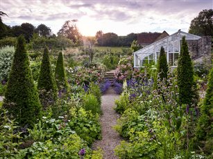 The yew walk, Batcombe House, Somerset-home of Libby Russell. Photo Jason Ingram