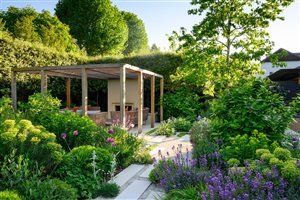 Charlotte Rowe Garden Design, Principal Designer Tomoko Kawauchi MSGLD - Putney Garden. Photograph © Jason Ingram