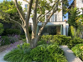 Charlotte Rowe Garden Design, Principal Designer Tomoko Kawauchi MSGLD - South West London Garden.
