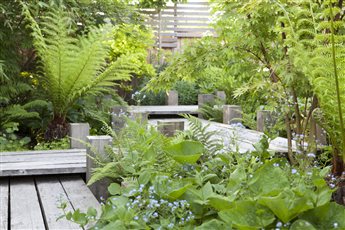 A suburban garden transformed into a magical hideaway in Pinner, North London.
SGD Award Winner 2019.
Photo credit: Rebecca Bernstein.
For full case study, visit: https://www.thegardenco.co.uk/residential/english-oasis/