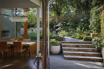 North London garden